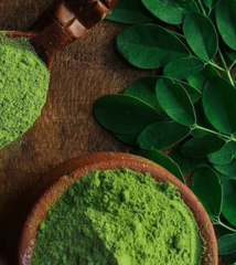 Moringa en poudre